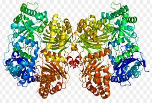 Cơ chế tác dụng của enzyme là gì?