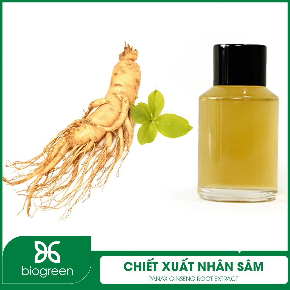 Công dụng của chiết xuất nhân sâm